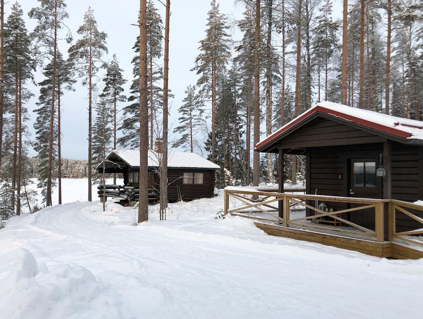 Aitta ja taustalla vanha hirsimökki (ei vuokrattavana)